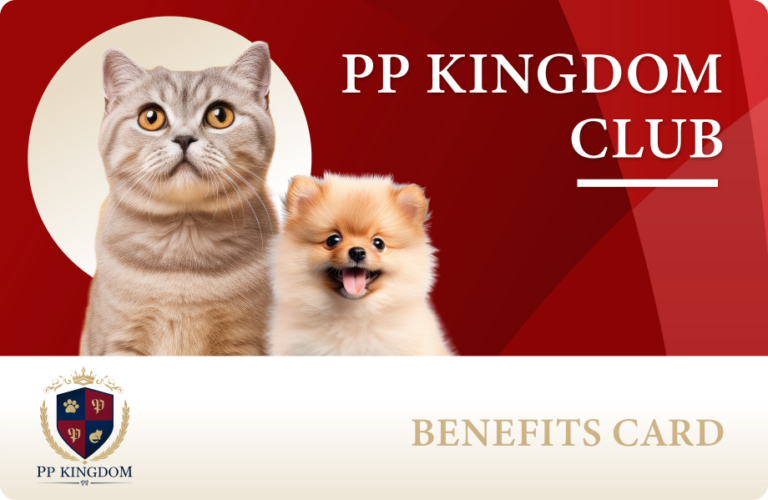 PPkingdomclub